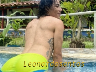 Leonardosantos