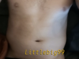 Littlebig99