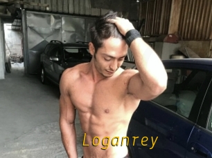 Loganrey