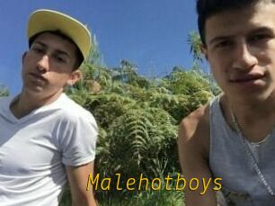 Malehotboys