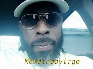 Mandingovirgo