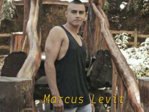 Marcus_Levit