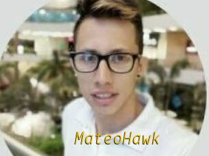 MateoHawk