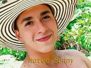 Mateo_Bunny