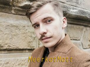 MeerkatMatt