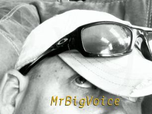 MrBigVoice