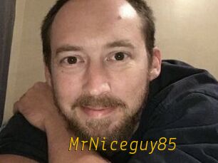 MrNiceguy85