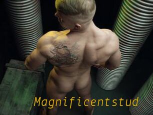 Magnificentstud