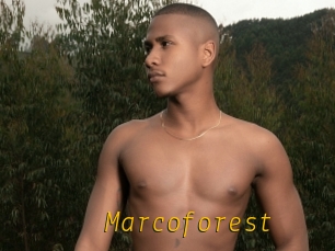 Marcoforest