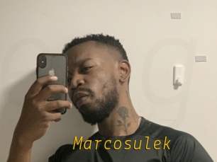 Marcosulek