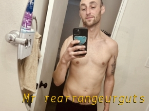 Mr_rearrangeurguts