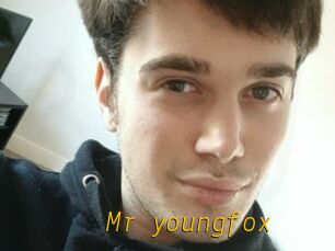 Mr_youngfox