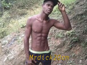 Mrdick20cm