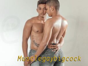 Musclegaybigcock