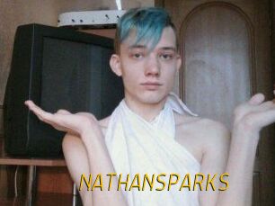 NATHAN_SPARKS