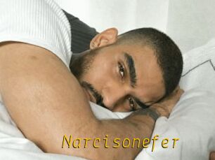 Narcisonefer