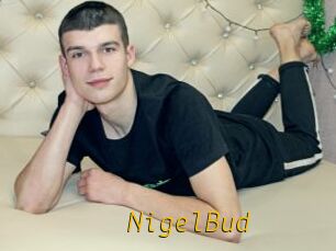 NigelBud