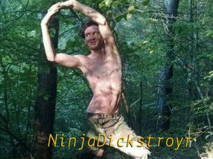 NinjaDickstroyr