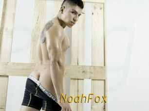 NoahFox