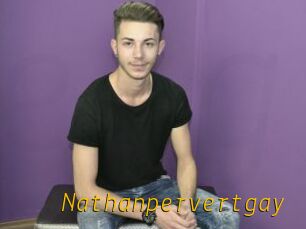 Nathanpervertgay