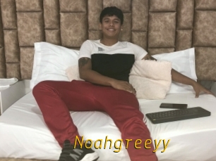 Noahgreeyy