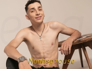 Noahsprouse