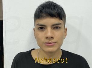 Nohascot