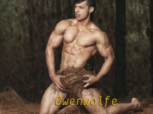 Owenwolfe