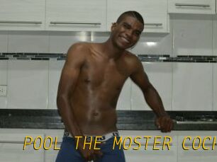 POOL_THE_MOSTER_COCK