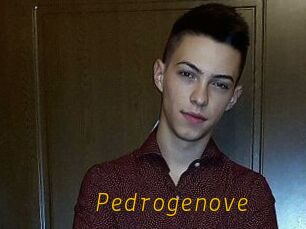 Pedrogenove