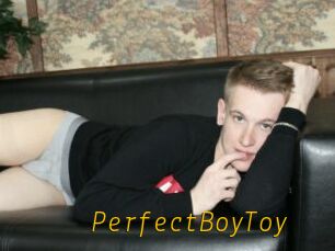 PerfectBoyToy