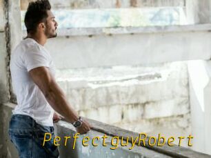 PerfectguyRobert