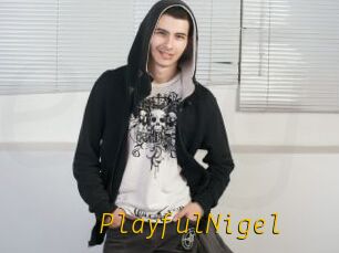 PlayfulNigel