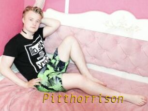 Pitthorrison