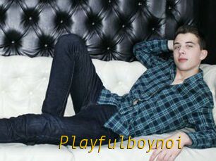 Playfulboynoi