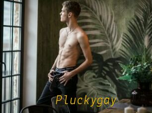 Pluckygay