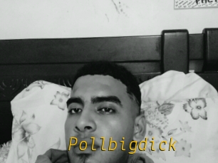 Pollbigdick