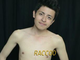 RACCOO