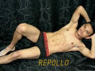 REPOLLO