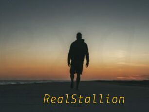 RealStallion