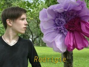 Rodrigie