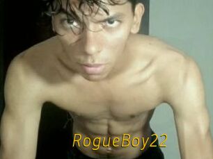 RogueBoy22