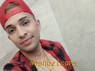 Raphaelcams