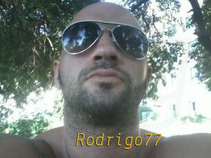 Rodrigo77