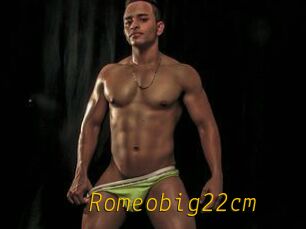 Romeobig22cm