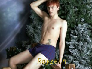 Royzein