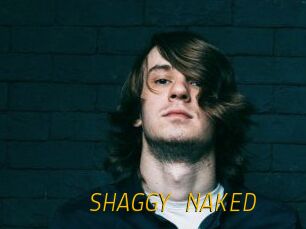 SHAGGY_NAKED