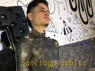 Santiagorabbits