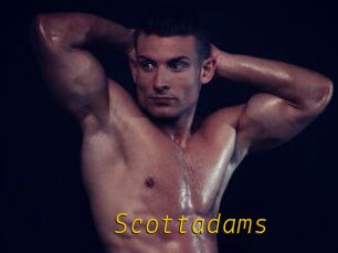 Scottadams