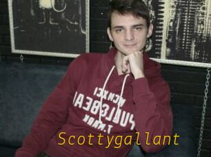 Scottygallant